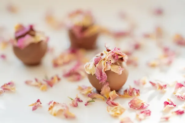 Andromeda Casino Aip Android/iOS